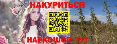 амф Тула