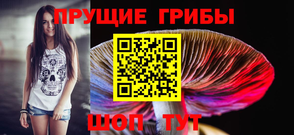 Отрадный  Псилоцибиновые грибы Psilocybe  Вход с VPN 